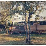 © Campsite l'Ombrage - Camping Nature Ombrage
