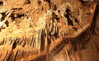 Aven Marzal : Grotte