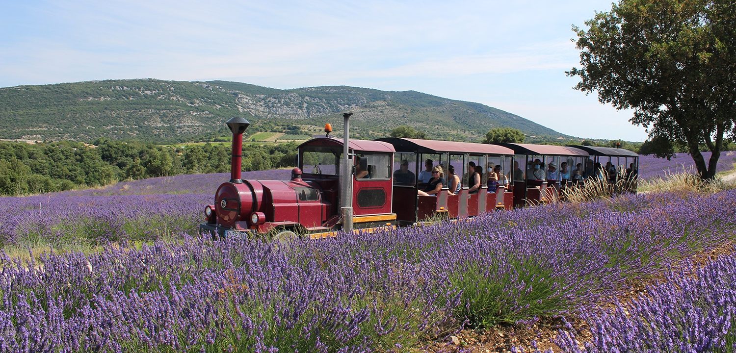 Maison de la Lavande Ardèche / Producer-Distiller & Museum