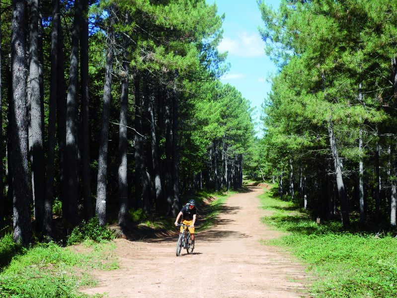 Randonnées en VTT électriques accompagnées