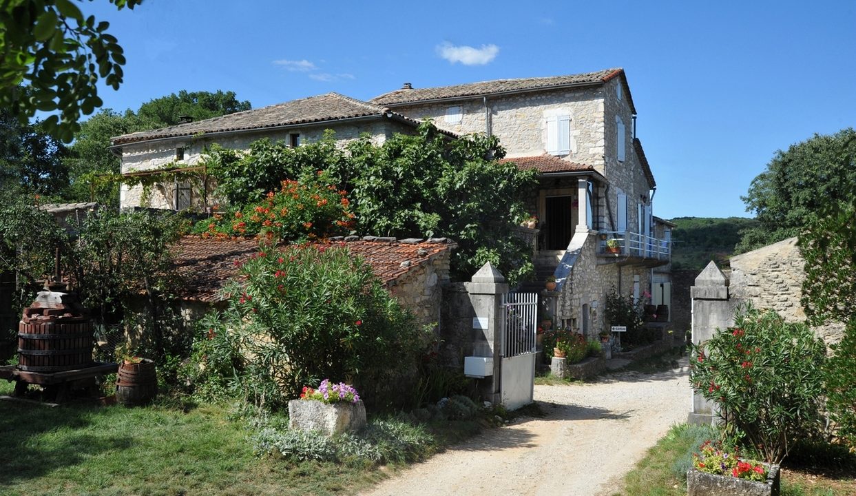 Domaine Vigne