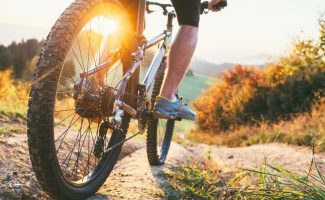 Electric bike and mountainbike rental - Face Sud