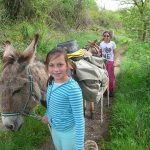 © Hiking with a donkey - Carab'âne - ©carab'âne