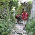 © Hiking with a donkey - Trek'âne - trekane