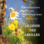 © Les Ruchers de l'Ibie - The bees 's farm - Elodie Leullier