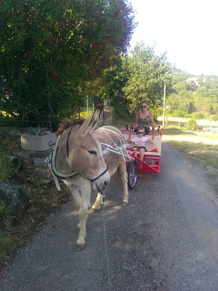 Escargoline ride with Carab'Âne