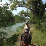 © Guided Hike on horseback  - Equitation Chavetourte - TALAGRAND