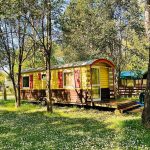 © Gypsy Caravan in the Lion Campsite - patricia