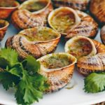 Gourmet tour of the Escargot des Restanques farm