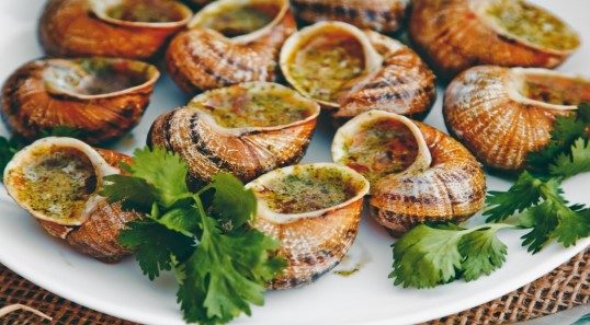 Gourmet tour of the Escargot des Restanques farm