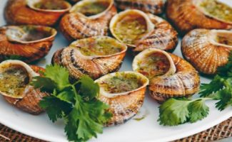 Gourmet tour of the Escargot des Restanques farm