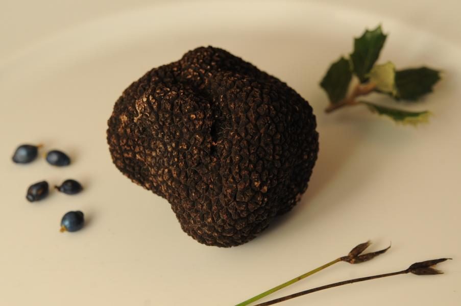 Saveurs de truffes et vins d'Ardèche au Domaine du Colombier