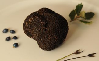 Saveurs de truffes et vins d'Ardèche au Domaine du Colombier