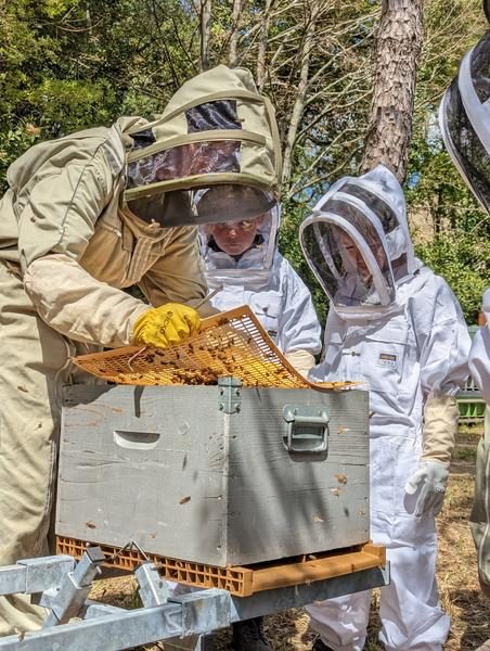 Baptême d'Apiculture - La Ferme des Abeilles