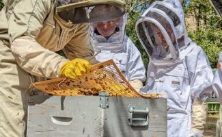 Baptême d'Apiculture - La Ferme des Abeilles