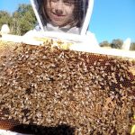 © Baptême d'Apiculture - La Ferme des Abeilles - Elodie Leullier