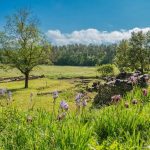 Car-free holiday: right bank Ardèche Gorges, natural chic