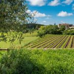 Car-free holiday: right bank Ardèche Gorges, natural chic