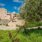 Car-free holiday: right bank Ardèche Gorges, natural chic