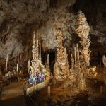 Car-free holiday: right bank Ardèche Gorges, natural chic