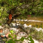 Car-free holiday: right bank Ardèche Gorges, natural chic