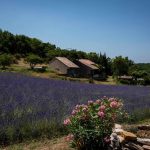 © Le frêne - Village de gîtes Le Serre de Pierre - Gîtes de France