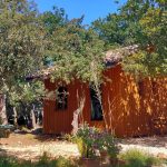 © La Cabane des 1000 pailles - 1000 Pailles