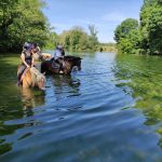 © Traversée à cheval de rivières - J. Talagrand