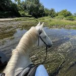 © Traversée à cheval de rivières - J. Talagrand