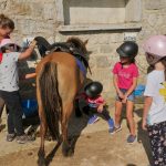 © Stage à Poneys et Balades à poneys - Talagrand