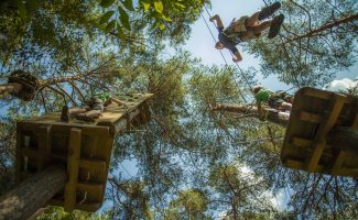 Parcours Accrobranche - Indy parc