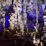 © Grotte de la Salamandre - Grotte de la Salamandre