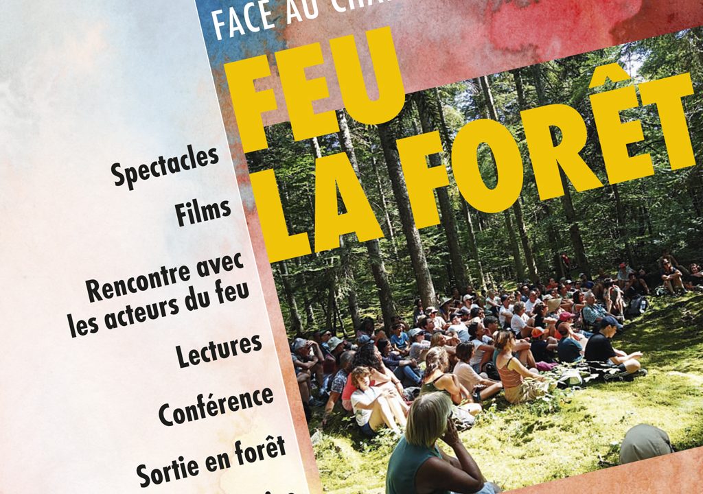 Comment la forêt se remet-elle d'un incendie? Sortie accompagnée