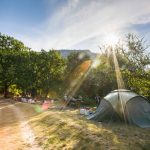 © Canoeing from Vallon to St Martin d'Ardèche - 32 km / 2 days with Loulou Bateaux - Loulou Bateaux