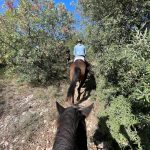 © Horse riding school "le Mazet" - Frédéric ROULETTE