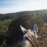 © Horse riding school "le Mazet" - Frederic ROULETTE