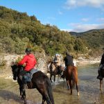 © Horse riding school "le Mazet" - Frédéric ROULETTE