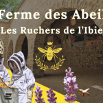 © Visit to Les Ruchers de l'Ibie honey factory - Elodie Leullier