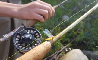 Fly Fishing Baptism