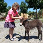 © Lussas Wildlife Park - Parc animalier de Lussas