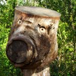 La Forêt d'Emile Zarbre en été