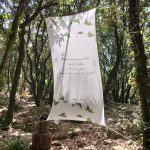 La Forêt d'Emile Zarbre en été