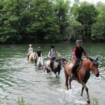 © Ferme Equestre - Equitation Chavetourte - Talagrand