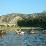 © Ferme Equestre - Equitation Chavetourte - Talagrand