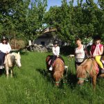 © Ferme Equestre - Equitation Chavetourte - Talagrand