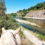 © Ferme Equestre - Equitation Chavetourte - Talagrand