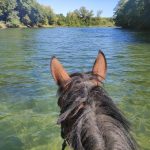 © Ferme Equestre - Equitation Chavetourte - Talagrand