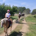 © Ferme Equestre - Equitation Chavetourte - Talagrand