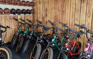 Vintage electric bike hire with Daddy's Bikes - All day