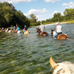 © Guided Hike on horseback  - Equitation Chavetourte - Talagrand